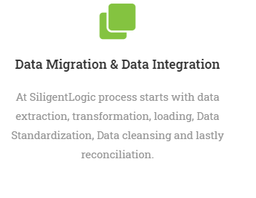 SiligentLogic - BDA-DMDI